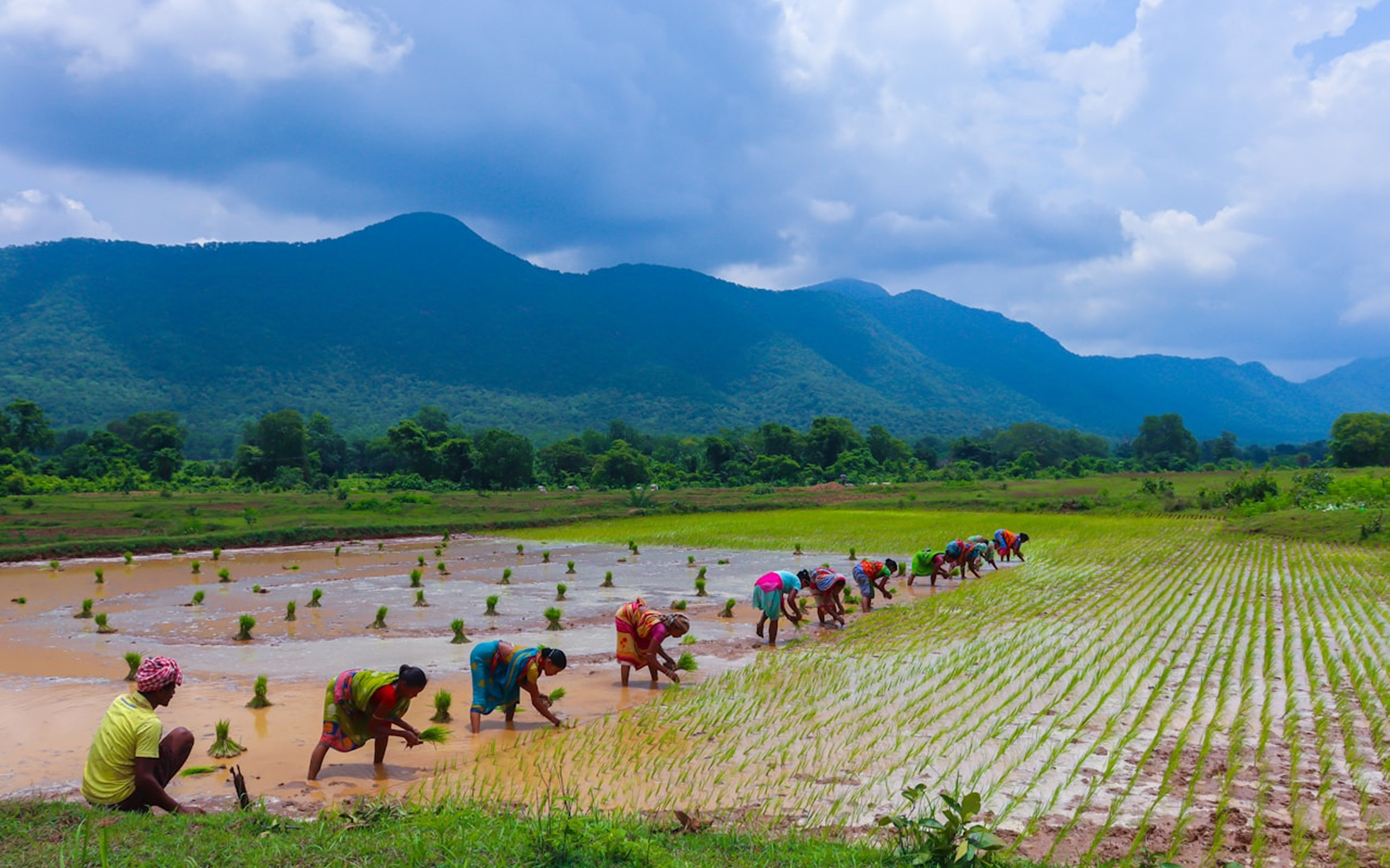 Farmers