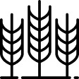 Fiber Icon